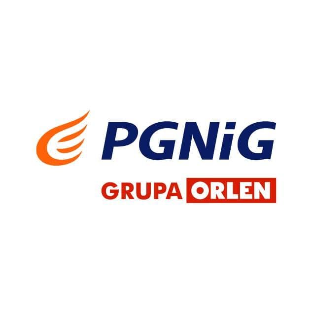 PGNiG Obrót Detaliczny sp. z o.o. color logo
