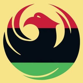 City of Phoenix color logo