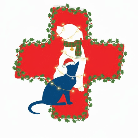 Pet Health Plus Veterinary Hospital color logo