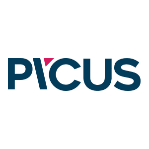 Picus Security color logo