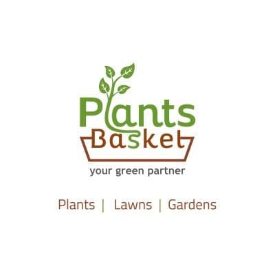 Plantsbasket Sheela color logo