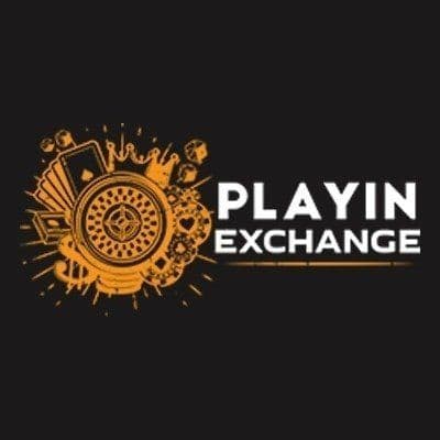 Playinexch color logo
