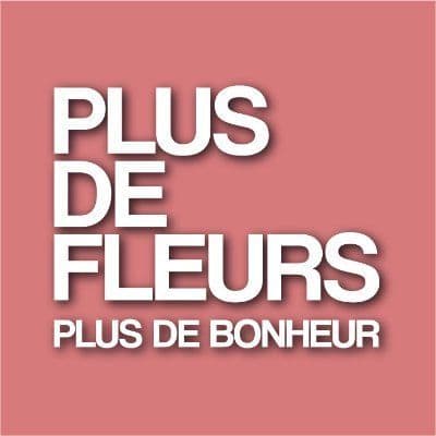 Plusdefleurs color logo