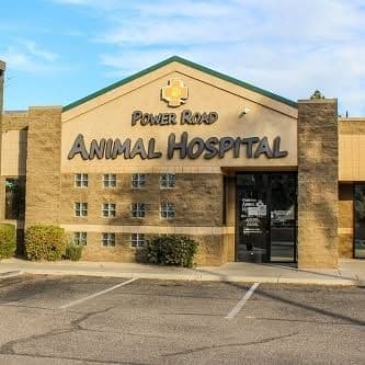 Power Road Animal Hospital color logo