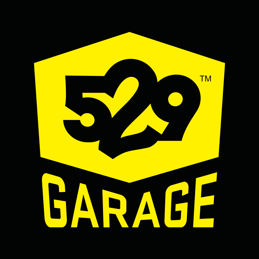 Project 529 color logo