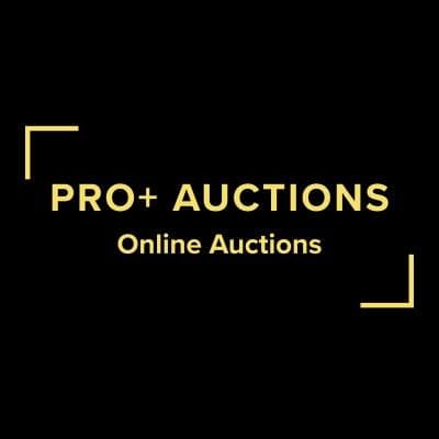 Pro+ Auctions color logo