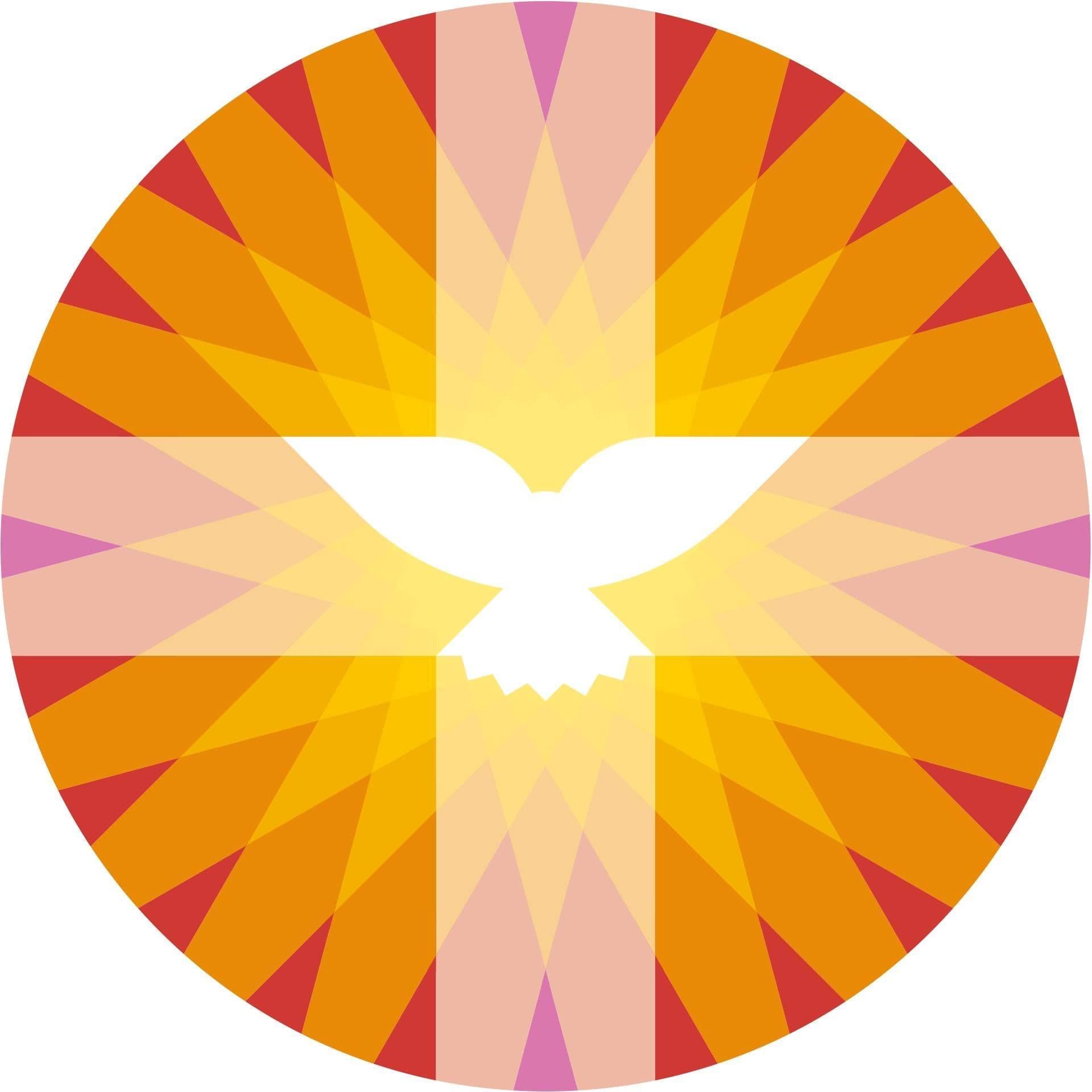 Protestantse Kerk in Nederland color logo