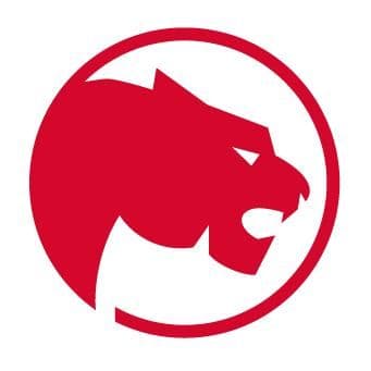 Protherm color logo