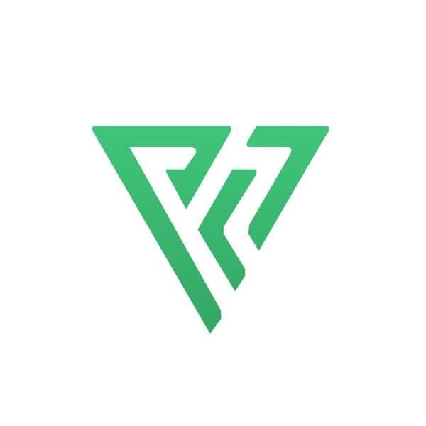 Proxy-Seller color logo
