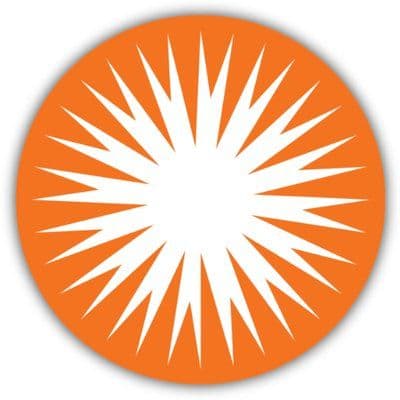 PSEG color logo