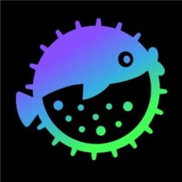 Puffer Finance