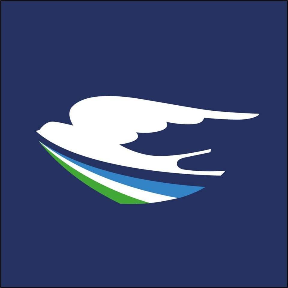 Qanot Sharq Airlines color logo