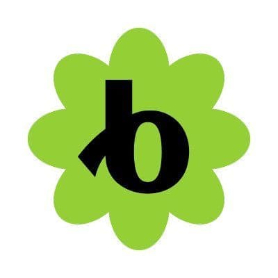 Bloomerang color logo