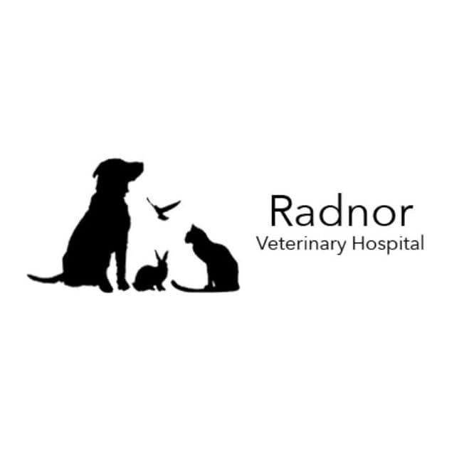 Radnor Veterinary Hospital color logo