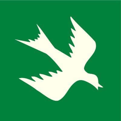 RainBirdCorp color logo