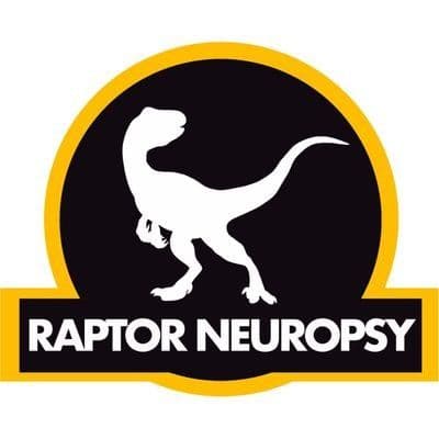 Raptor Neuropsy color logo