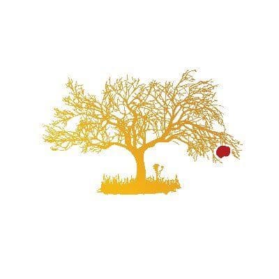 Ripe Vapes color logo