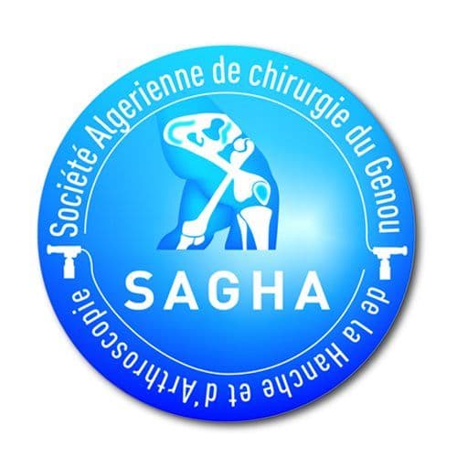 SAGHA-DZ color logo