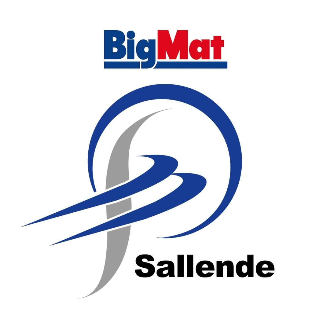 Sallende color logo