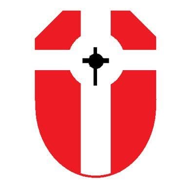 SalvationCall color logo