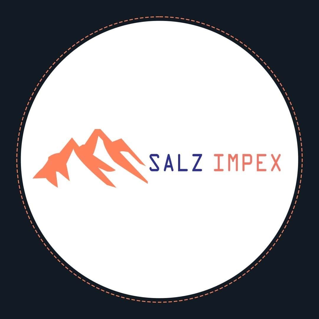 Salz Impex color logo