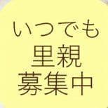 いつでも里親募集中 color logo