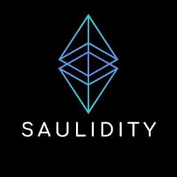 Saulidity Audit