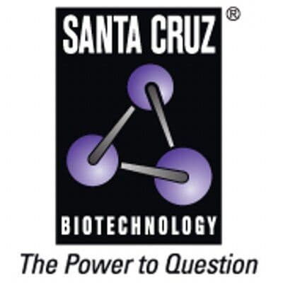 Santa Cruz Biotechnology color logo