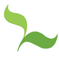 Seedcamp color logo
