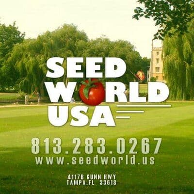 Seed World color logo