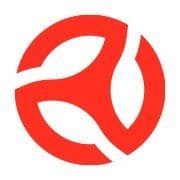 Seminuevos.com color logo