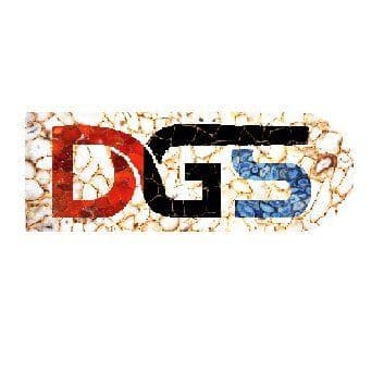Divya Gem Stonex color logo