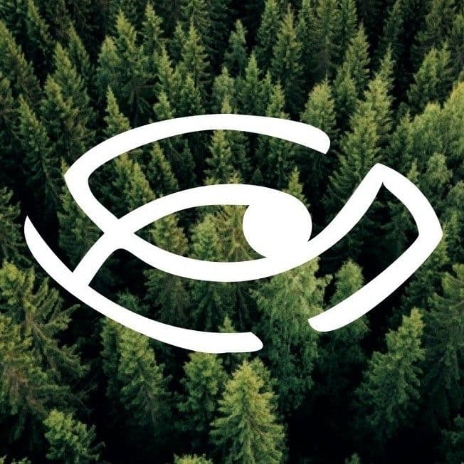 Senso Naturale color logo