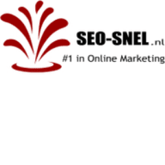 Online Marketing Bureau SEO-SNEL color logo