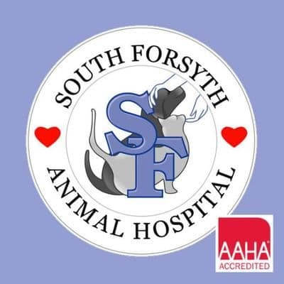 South Forsyth AH color logo