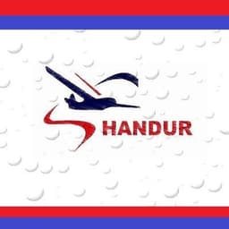 Shandurtravels
