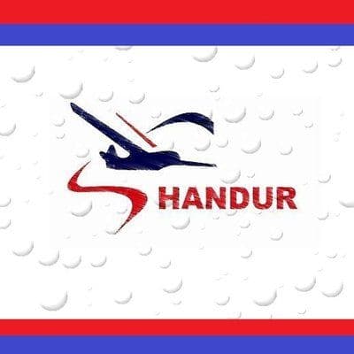 Shandurtravels color logo