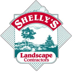 Shelly’s Landscape