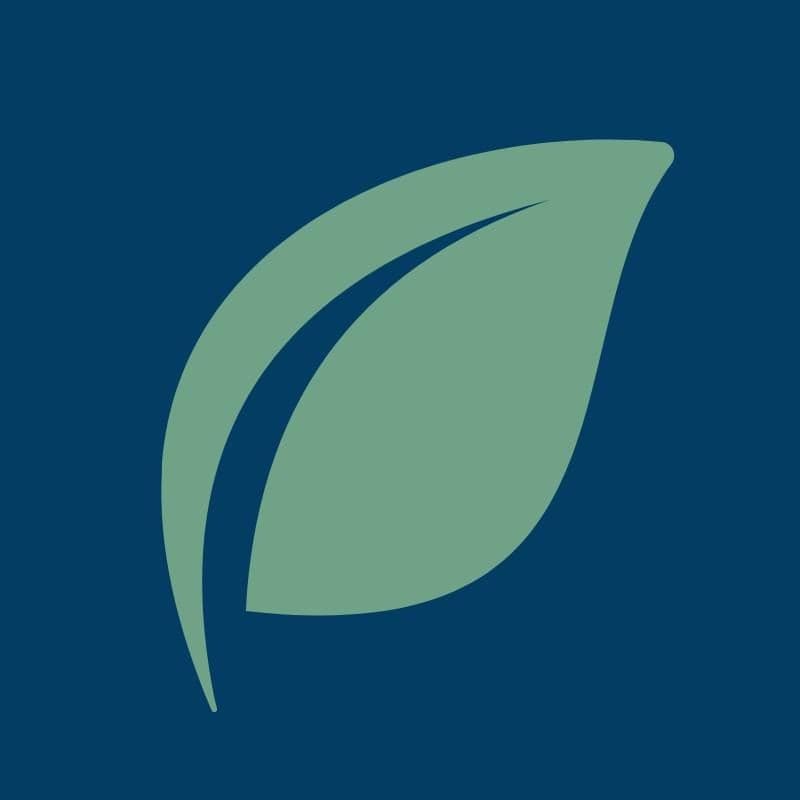 SHINEscapes color logo