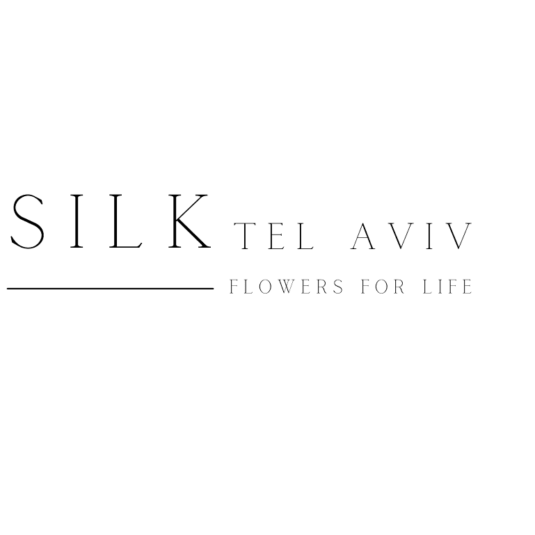 Silk Tel Aviv color logo