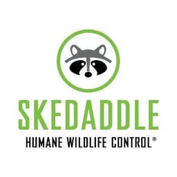 Skedaddle Humane Wildlife Control
