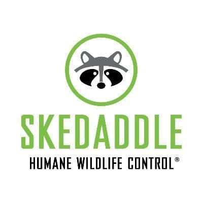 Skedaddle Humane Wildlife Control color logo