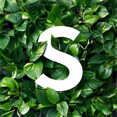 Skogluft color logo