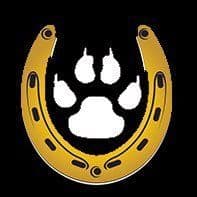 Sky High Wilderness Ranch color logo