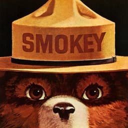 Smokey Bear