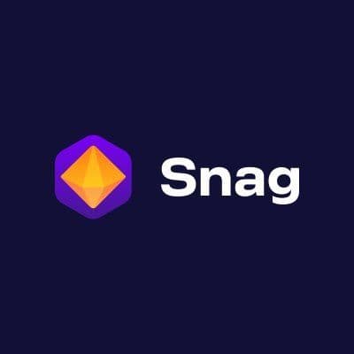 Snag Solutions color logo