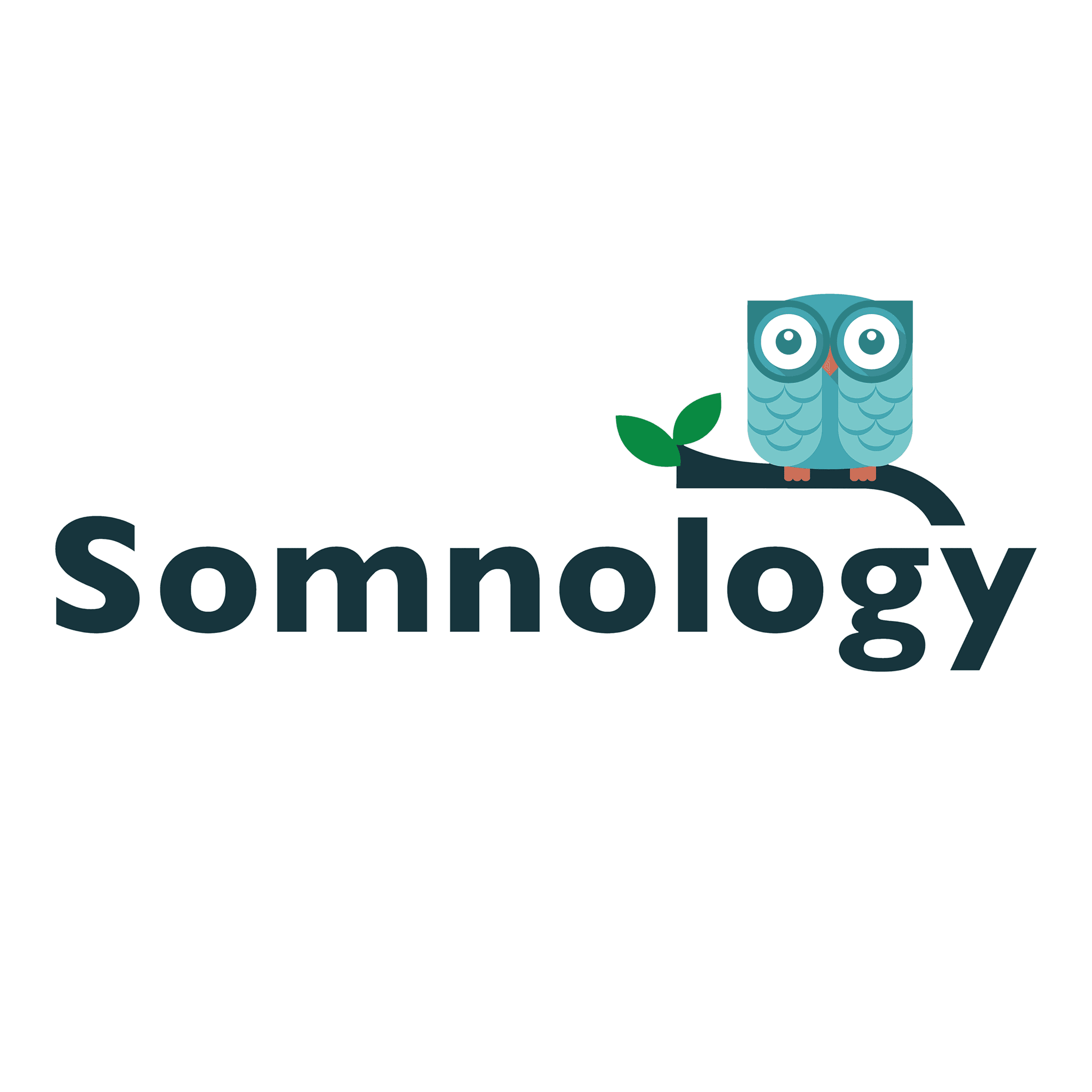 Somnology color logo