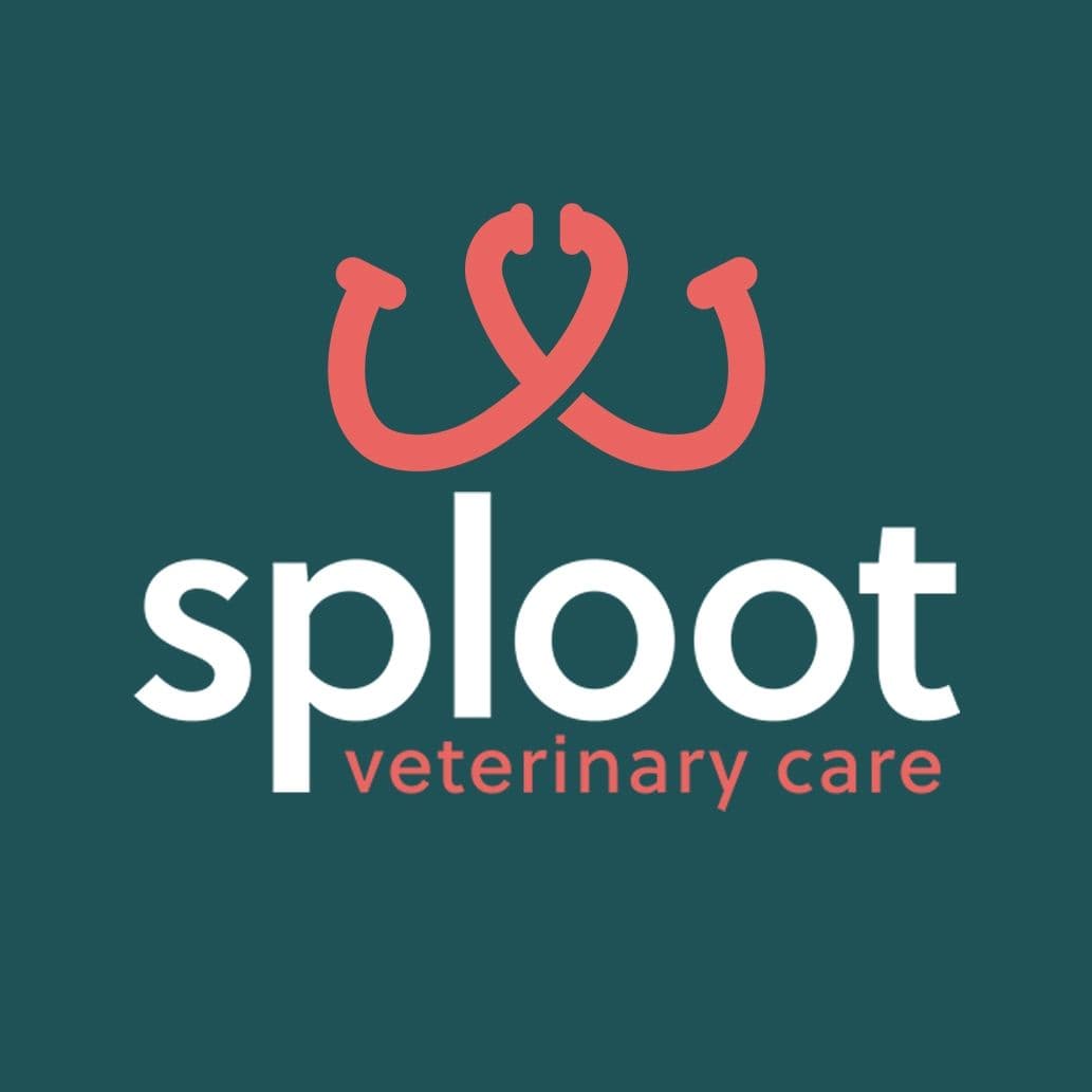 Sploot Veterinary Care color logo