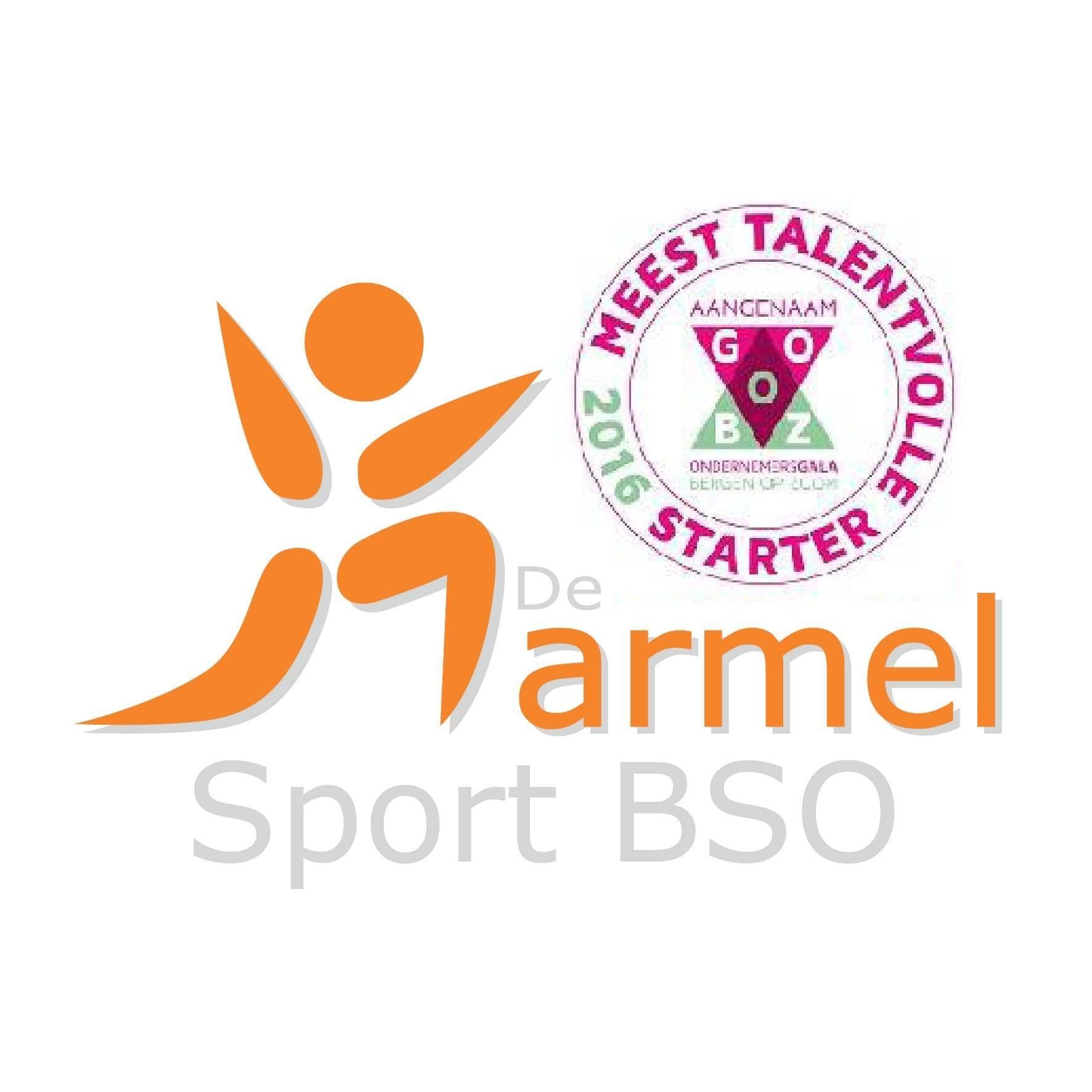 SportBSO NL color logo