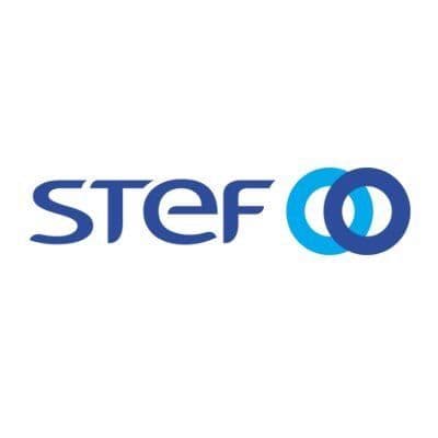STEF Group color logo